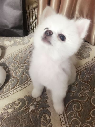 建筑业