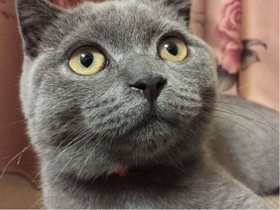 电脑网络软件