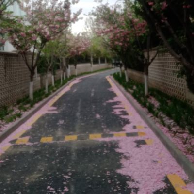 车主抢预约单