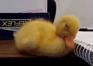 安装