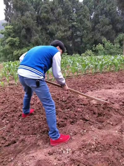装修木工防水