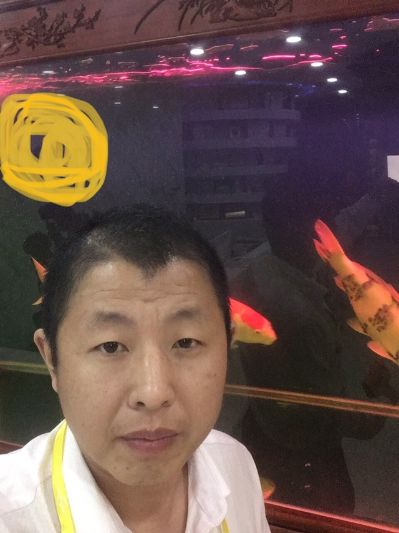 汽车专业维修汽车维修