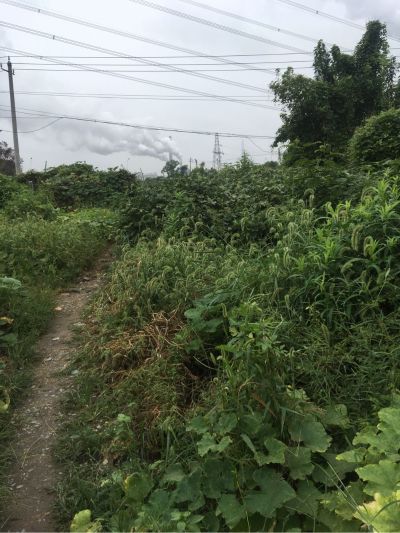 清洗地毯