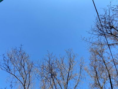 拆除房屋