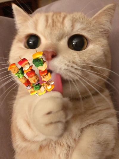 弱电