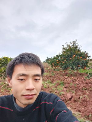 建筑