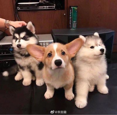 无