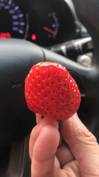 灯光音箱