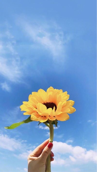 电动门禁系统