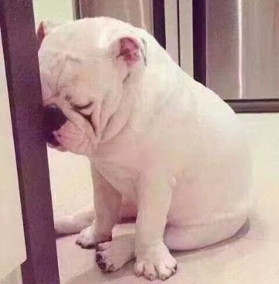 水电改造水电改造