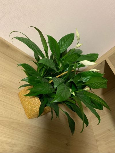 水电管道安装