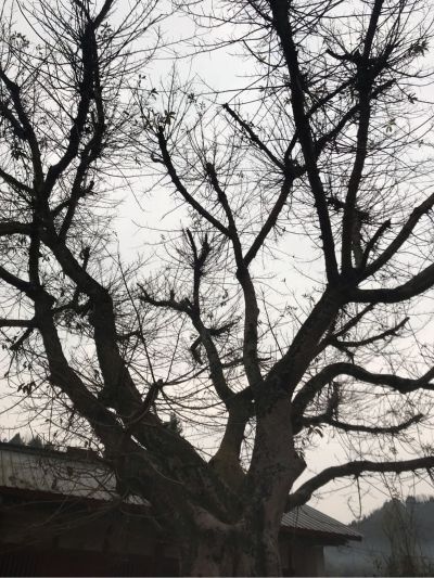 装修设计施工