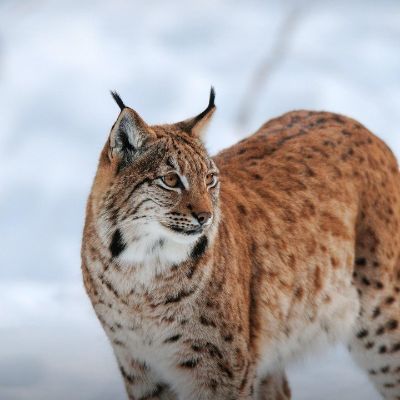 大量临时工人力资源部