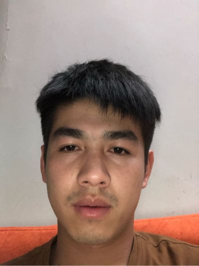 网络