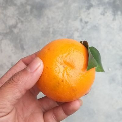 工人