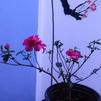 居家安装维修