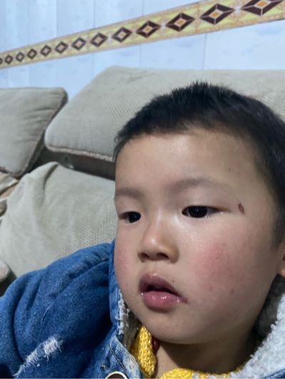 拉货无