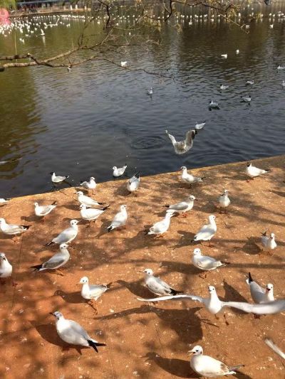 水电空调弱电