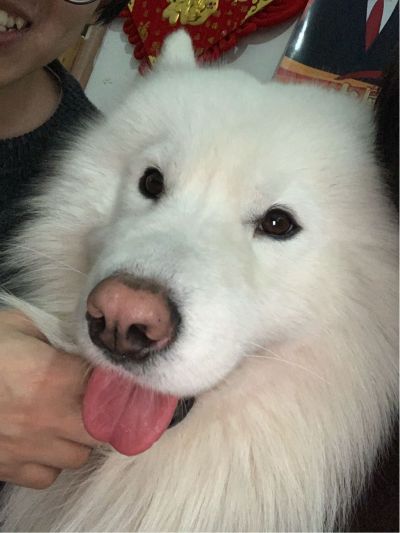组装