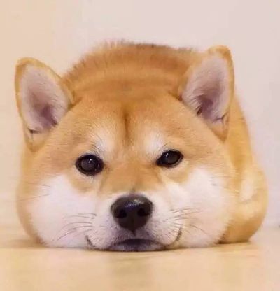 电工装潢