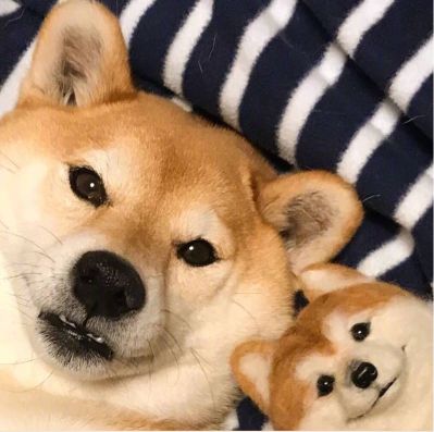 家具安装