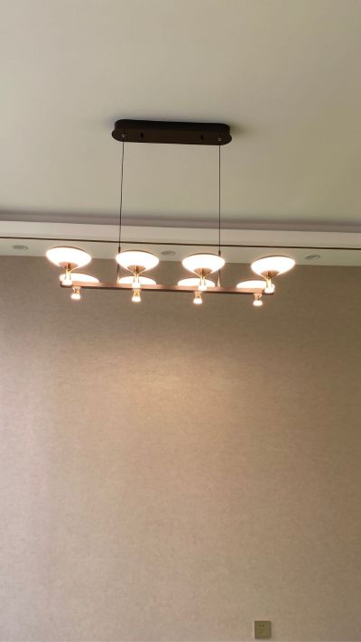 安装灯具灯具维修