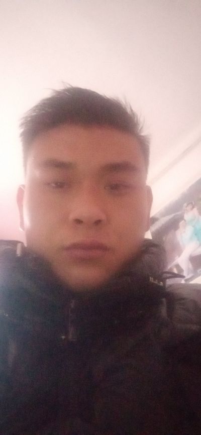 小马跑腿