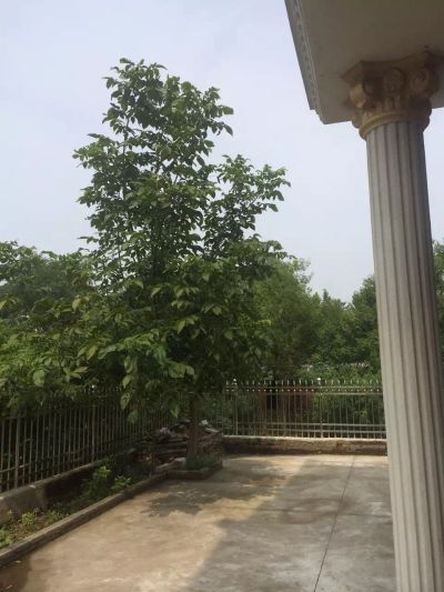 家具安装水电按家具改水电