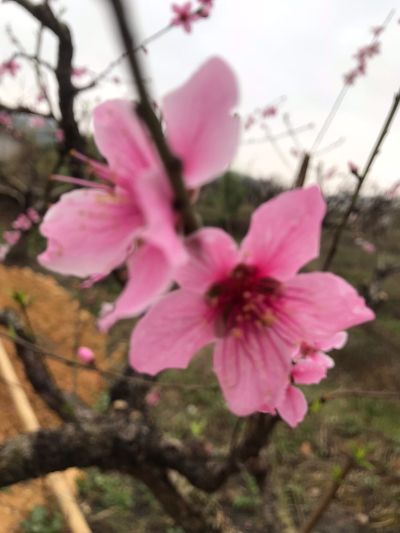泥水美缝