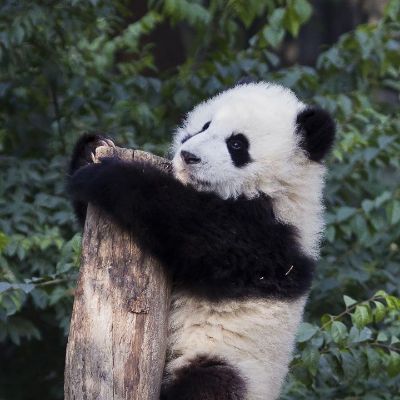 防盗门安装