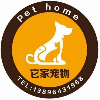 宠物