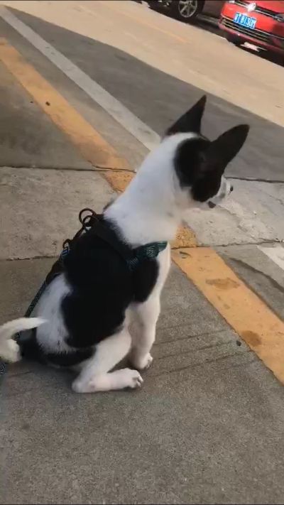 家具安装维修