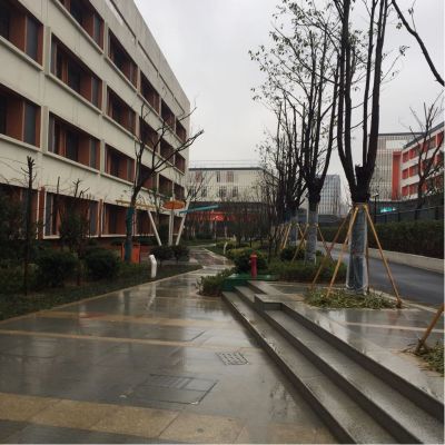 市政景观建筑建筑景观施工