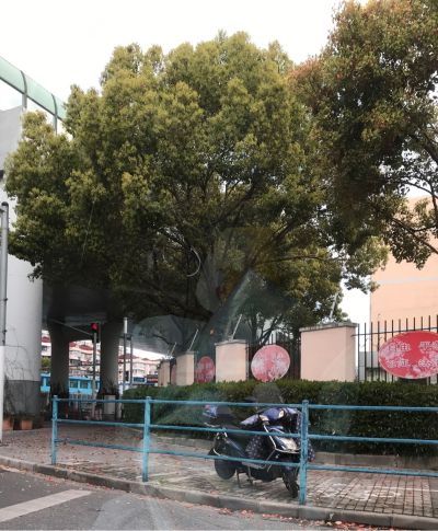 空调墙外的口没有封，现在好像有麻雀做窝了 想找个师傅要封堵空调外机口，在4楼，窗户为系统窗