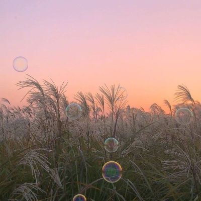 空调维修移机