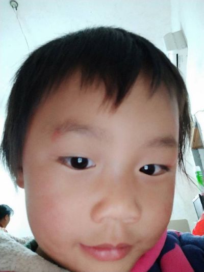 泥瓦工！木工泥工
