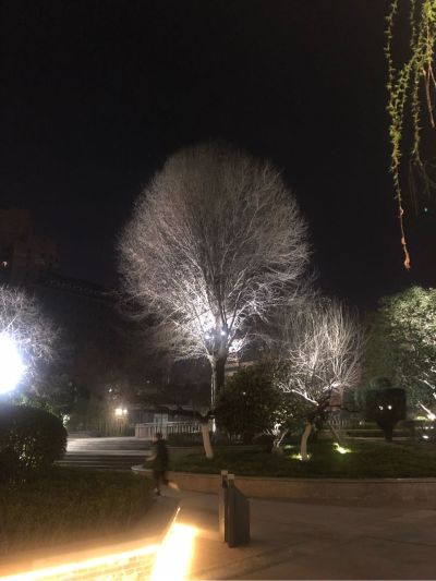 接单