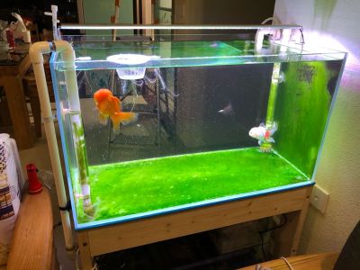指纹锁安装