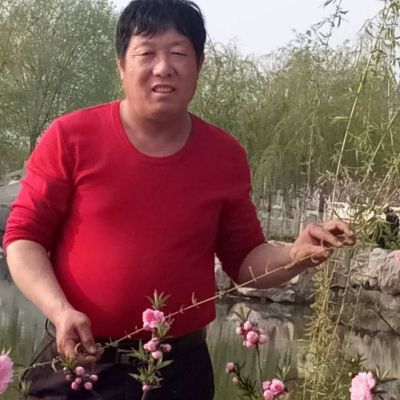 按装家具灯具