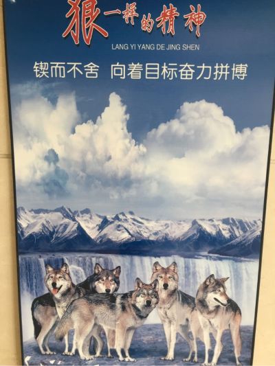 专业装净水器专业安装浴霸