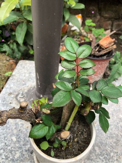维修装修焊接维修装修