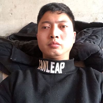 快递快递天天快递天天快递