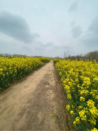 空调维修清洗