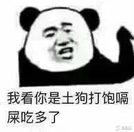 都可以