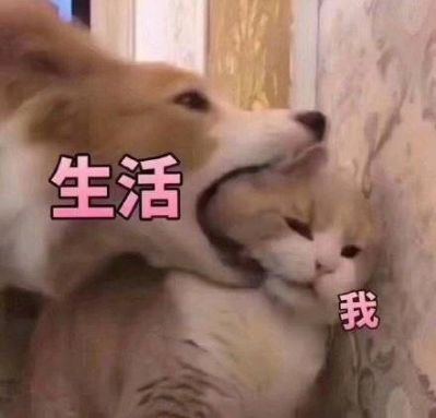 无