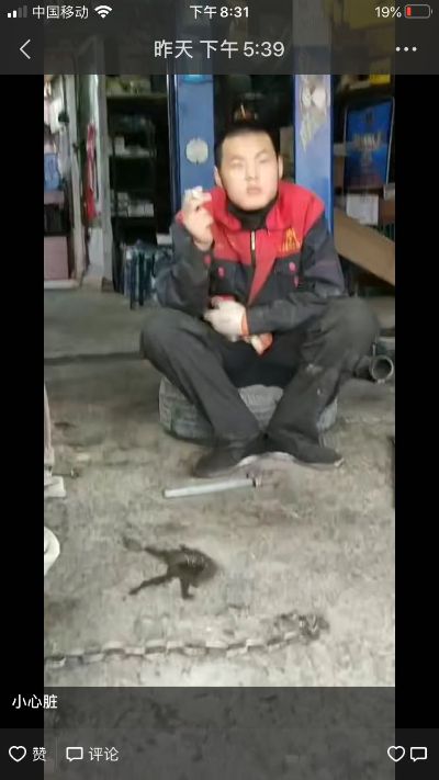木器维修保养家具保养美容