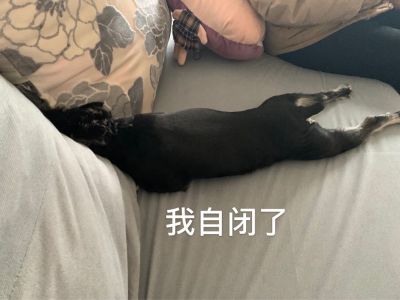 无