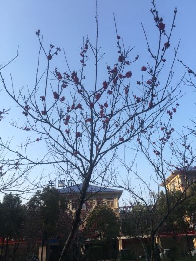 无