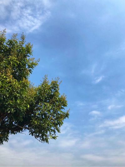 油漆涂料