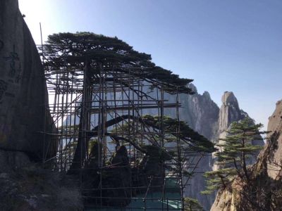 水电灯洁具维修